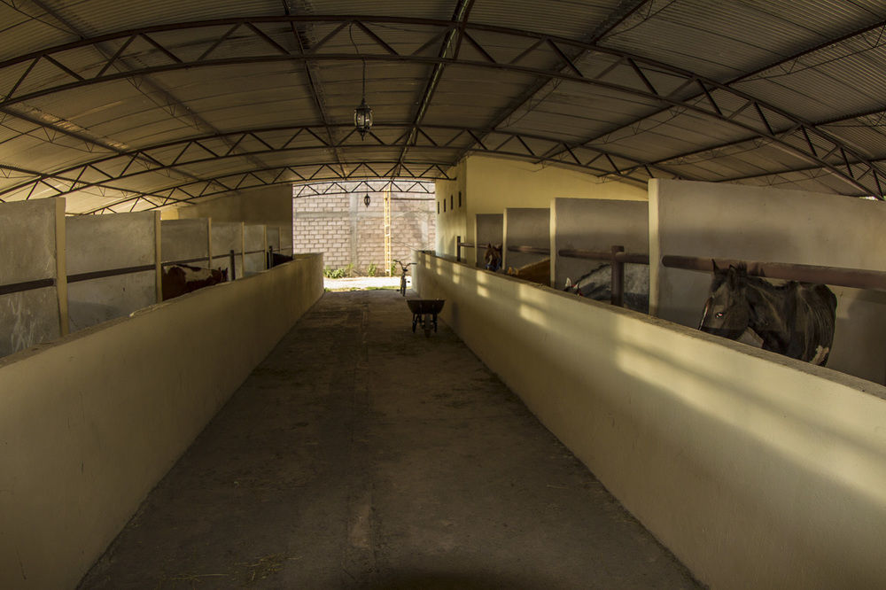 Teoticamp Ξενοδοχείο San Juan Teotihuacán Εξωτερικό φωτογραφία